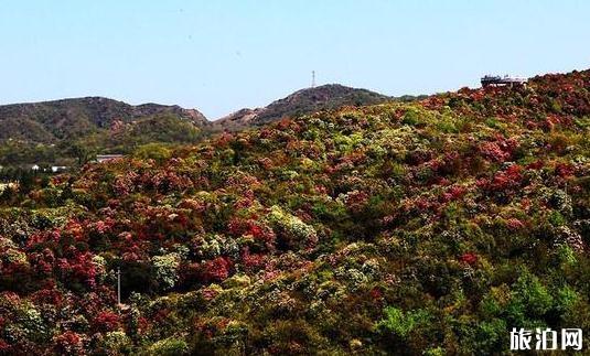 大方县旅游景点有哪些 大方县旅游景点介绍