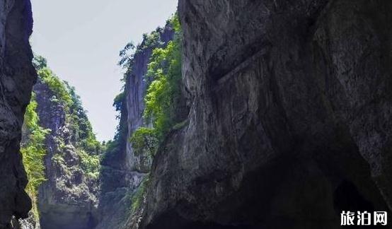 大方縣旅游景點有哪些 大方縣旅游景點介紹