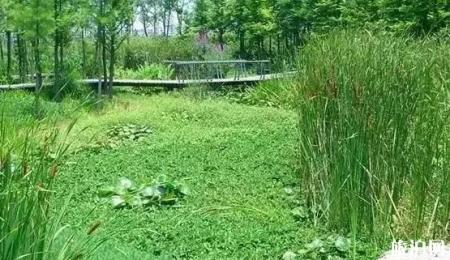 宁波周边免费景点推荐