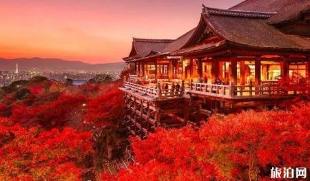 日本哪些地方看枫叶最好