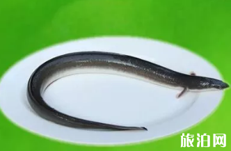 2018湛江开海时间 湛江有哪些海鲜好吃的