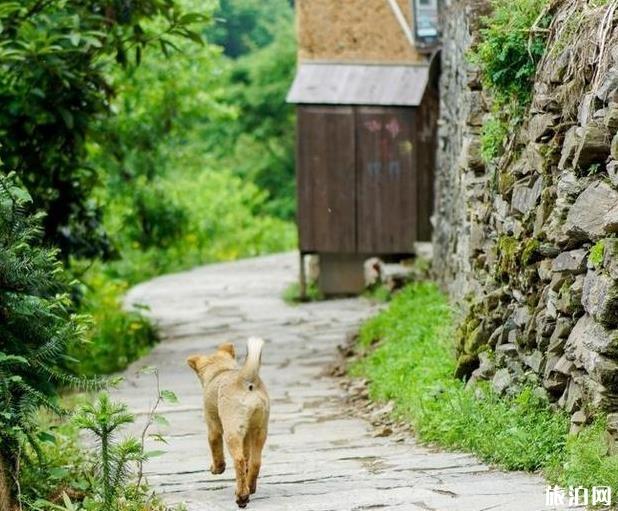 歙縣陽產土樓要門票嗎 土樓介紹