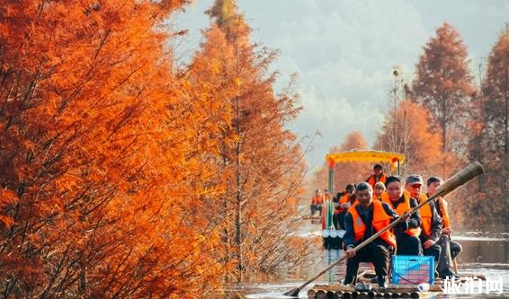 九月皖南旅游景點推薦 皖南秋天風景圖片