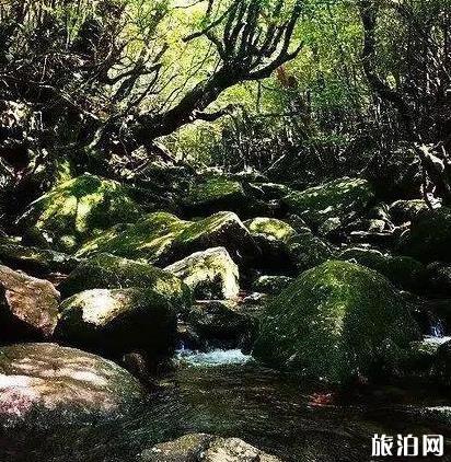 《一出好戏》取景地 取景海岛介绍