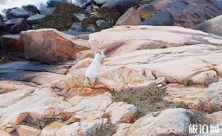 《一出好戏》取景地 取景海岛介绍