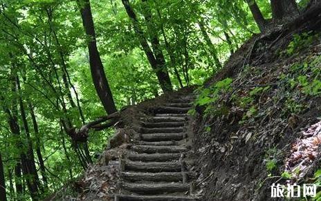 三塊石國家森林公園好玩嗎 三塊石國家森林公園怎么樣