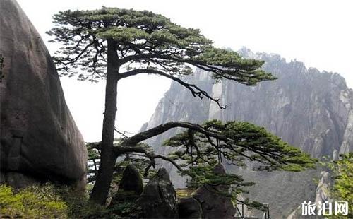 黄山市旅游景点人气排名 各景区景点门票一览