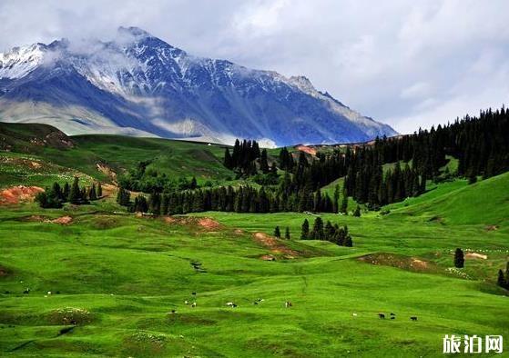 新疆巴音郭楞旅游攻略 景点排名+最佳季节+注意事项