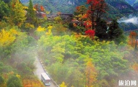 四明山有什么好玩的 四明山游玩线路介绍