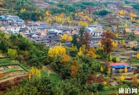 四明山有什么好玩的 四明山游玩线路介绍