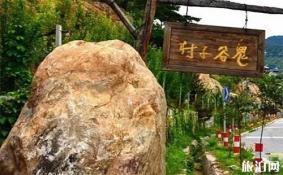 大洼鬼谷子村是怎样的地方