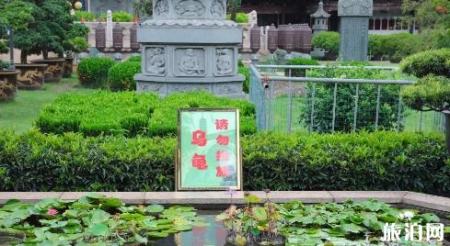 上海真如古镇有什么好玩的 上海真如古镇景点介绍
