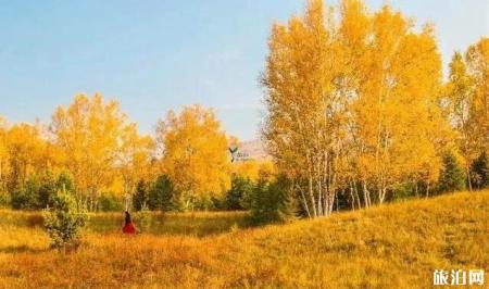 乌兰布统什么时候旅游最好