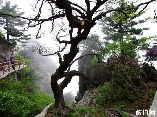 尧山风景区门票多少钱