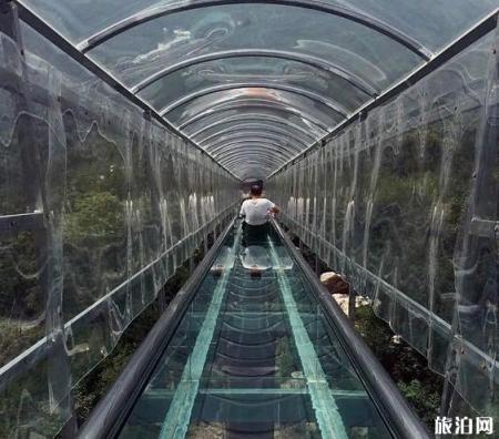 河南空中玻璃漂流在哪里