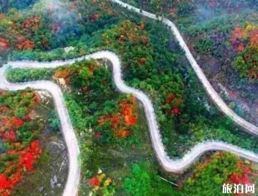 河南最美公路在哪里 河南都有些什么公路