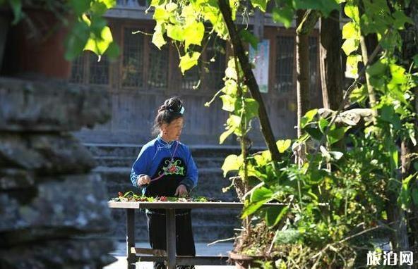 雷山烏東村怎么樣