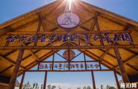 哈尔滨普罗旺斯薰衣草庄园门票多少钱