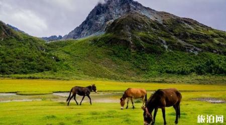 稻城亚丁四姑娘山海螺沟七天旅游路线推荐
