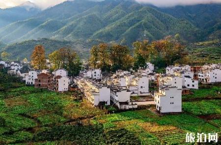 婺源四天游玩路线 11月婺源游玩攻略