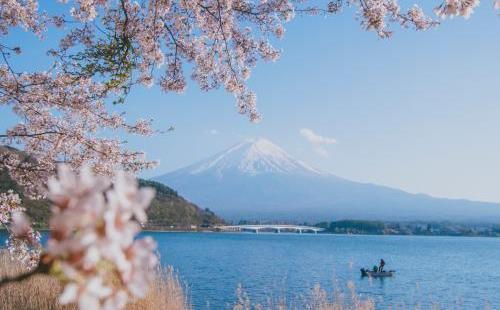 家人反对去日本旅游该怎么办
