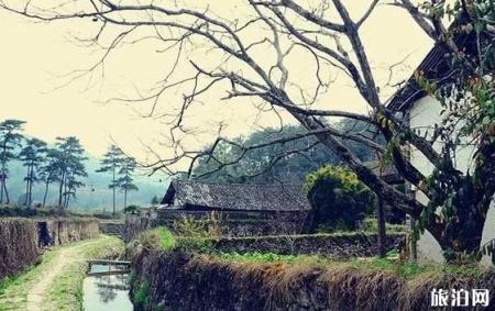 楠溪江古村落旅游景点介绍