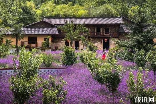 巴山大峡谷旅游攻略 门票+交通指南