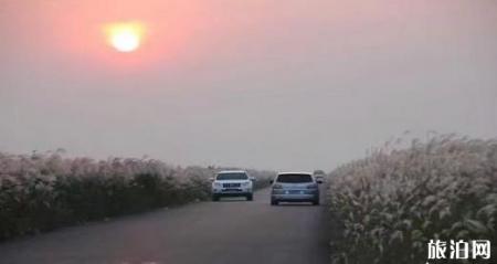 天津到威海自驾游线路安排 附游玩线路推荐