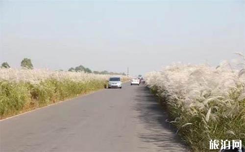 天津到威海自驾游线路安排 游玩线路推荐