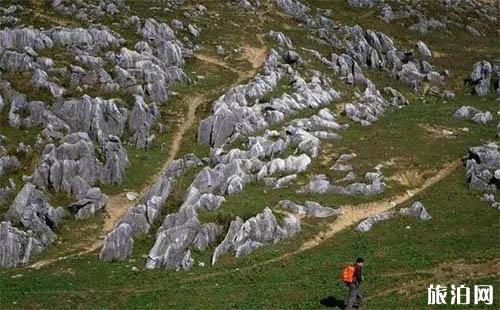 鎮安北羊山在哪 一個徒步旅行圣地