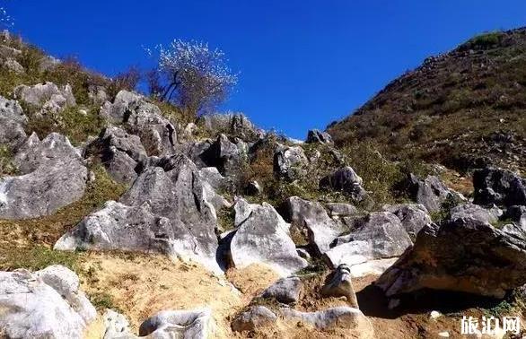 镇安北羊山在哪 一个徒步旅行圣地