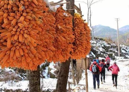 镇安北羊山在哪 一个徒步旅行圣地