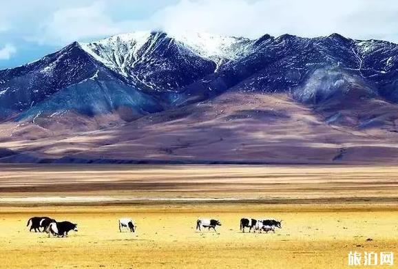 新疆巴音布鲁克草原在哪 门票多少钱