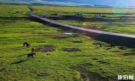 新疆阿勒泰禾木公路图