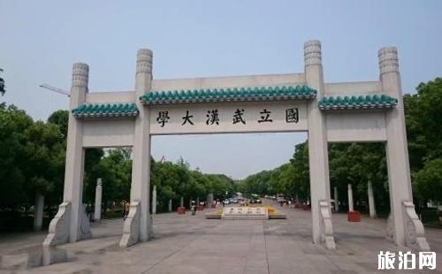 武汉大学小白狐在哪可以看见 参观武汉大学要门票吗