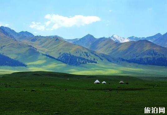 新疆那拉提草原和巴音布鲁克草原哪个好