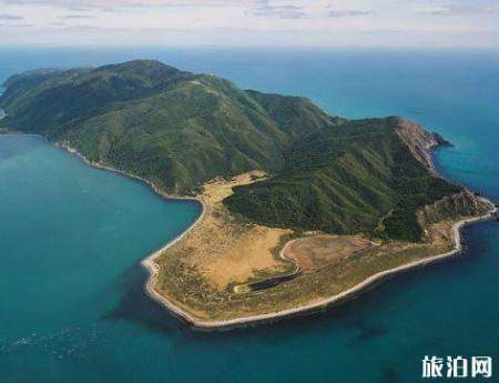 新西兰旅游最佳时间 新西兰旅游线路推荐