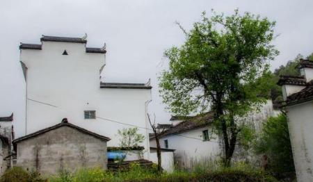 什么时候去婺源旅游最好