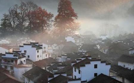 什么时候去婺源旅游最好