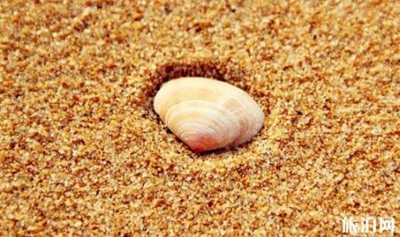 威海国际海水浴场值得去吗 威海国际海水浴场好玩吗
