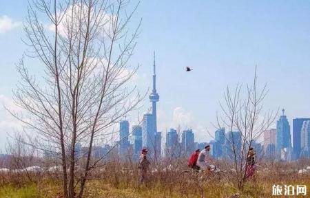 多伦多枫叶什么时间 多伦多秋天景点推荐
