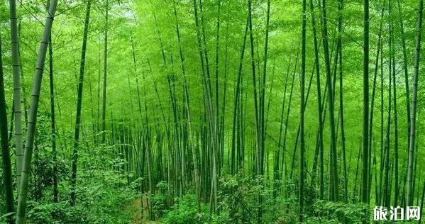 扶溪鎮天氣 扶溪旅游景點介紹