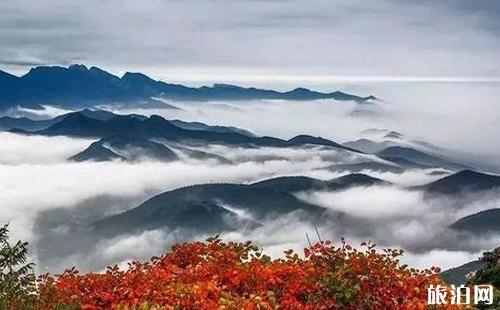 嵩山登山年证办理地点 嵩山登山证办理条件