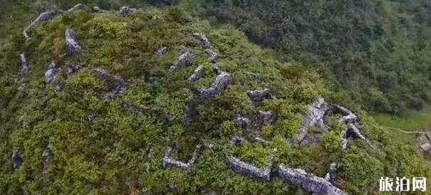 陽山杜步鎮景點推薦