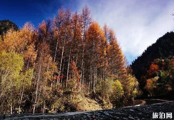 四川紅葉景點有哪些 四川看紅葉最好的地方