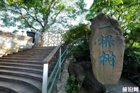 重庆旅游三天攻略