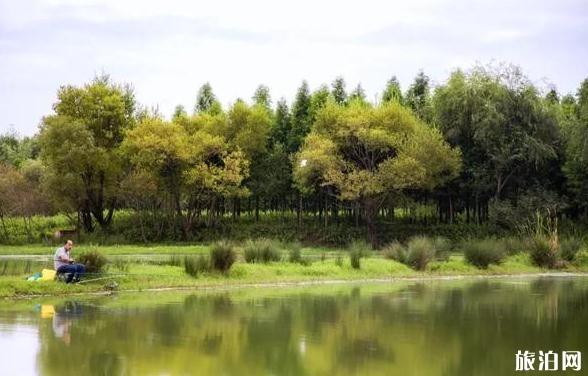 昆明新環湖南路怎么走 昆明新環湖南路風景推薦