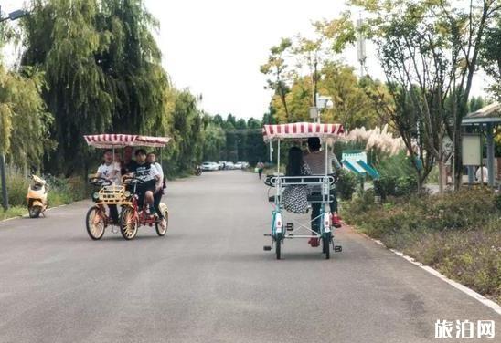 昆明新环湖南路怎么走 昆明新环湖南路风景推荐