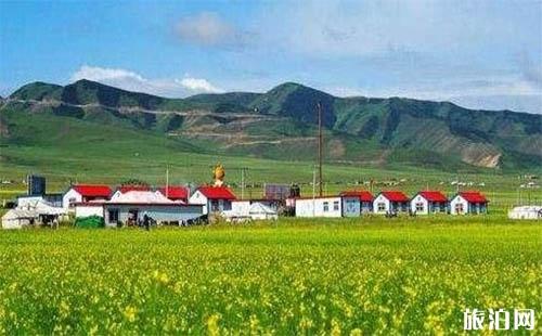 蚌埠和徐州哪个比较适合安家