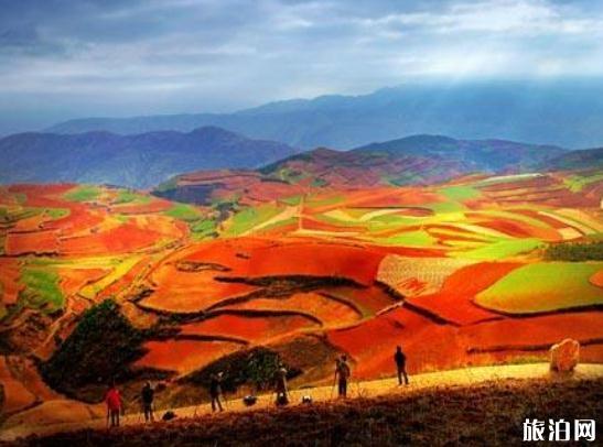 東川紅土地幾月去最美 云南東川紅土地旅游攻略2018